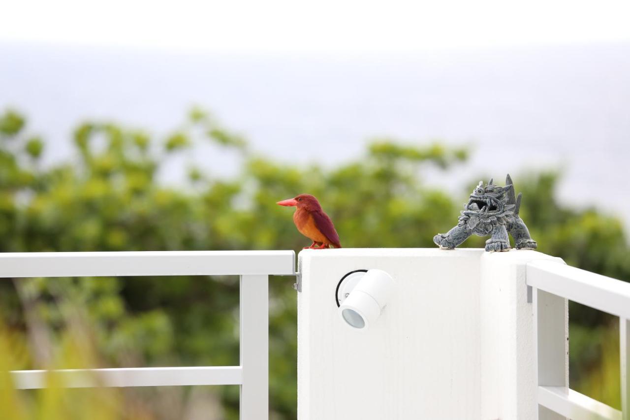 Blue Ocean Resort Ishigaki  Exterior foto